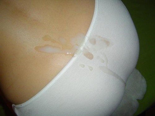 Cum on panties